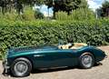 Austin-Healey 100 1957 Healey 100-Six BN4 6-Zylinder 4-Sitze  FIA Grün - thumbnail 10