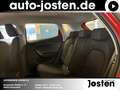 SEAT Ibiza Style BEATS 1.0 TSI Voll-LED PDC Garantie Rosso - thumbnail 11