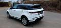 Land Rover Range Rover Evoque LED~PANORAMA~KAMERA360~AHK Weiß - thumbnail 5