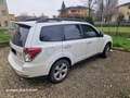 Subaru Forester Forester III 2009 2.0d X 6mt Bianco - thumbnail 2