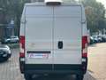 Toyota Proace Max Max 35 BlueHDi 140 PLM-TM Fur.Bus Blanc - thumbnail 5