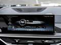 BMW X7 xDrive40d 22" M-Sport DA Prof. 360° H/K Standheizu Gris - thumbnail 8