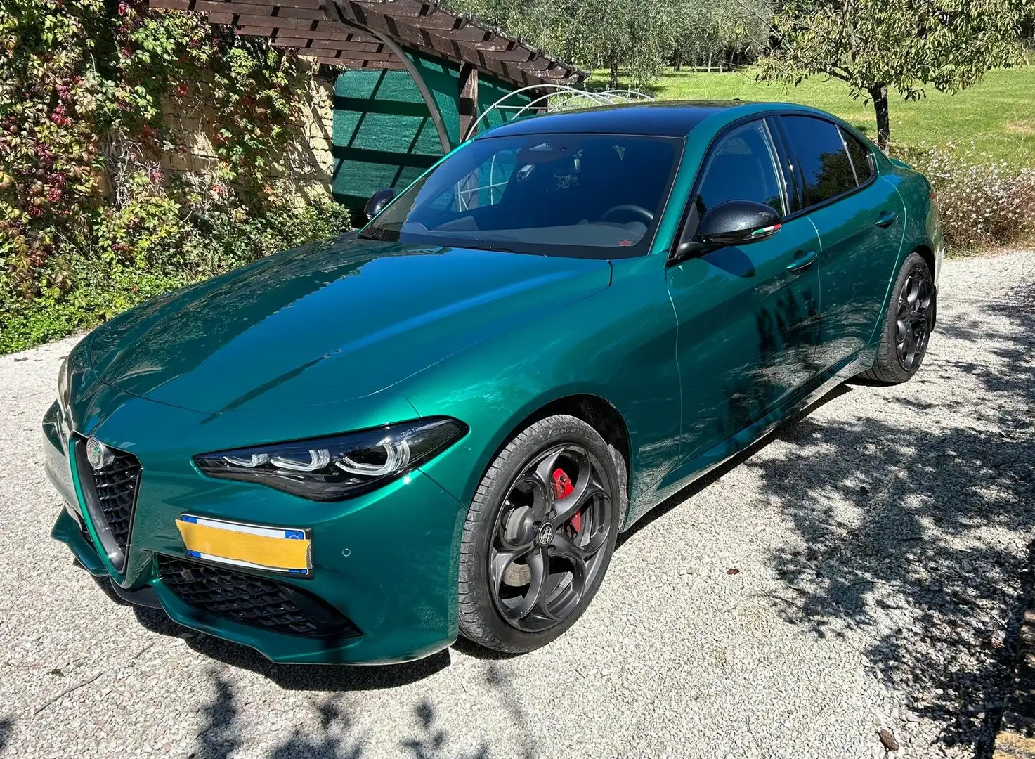 Alfa Romeo Giulia Giulia 2023 2.0 t Tributo Italiano Q4 280cv auto Verde - 1