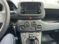 Fiat Panda FireFly Hybrid 70 1.0 Schwarz - thumbnail 12