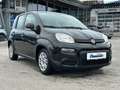 Fiat Panda FireFly Hybrid 70 1.0 Schwarz - thumbnail 8