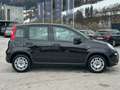Fiat Panda FireFly Hybrid 70 1.0 Schwarz - thumbnail 7