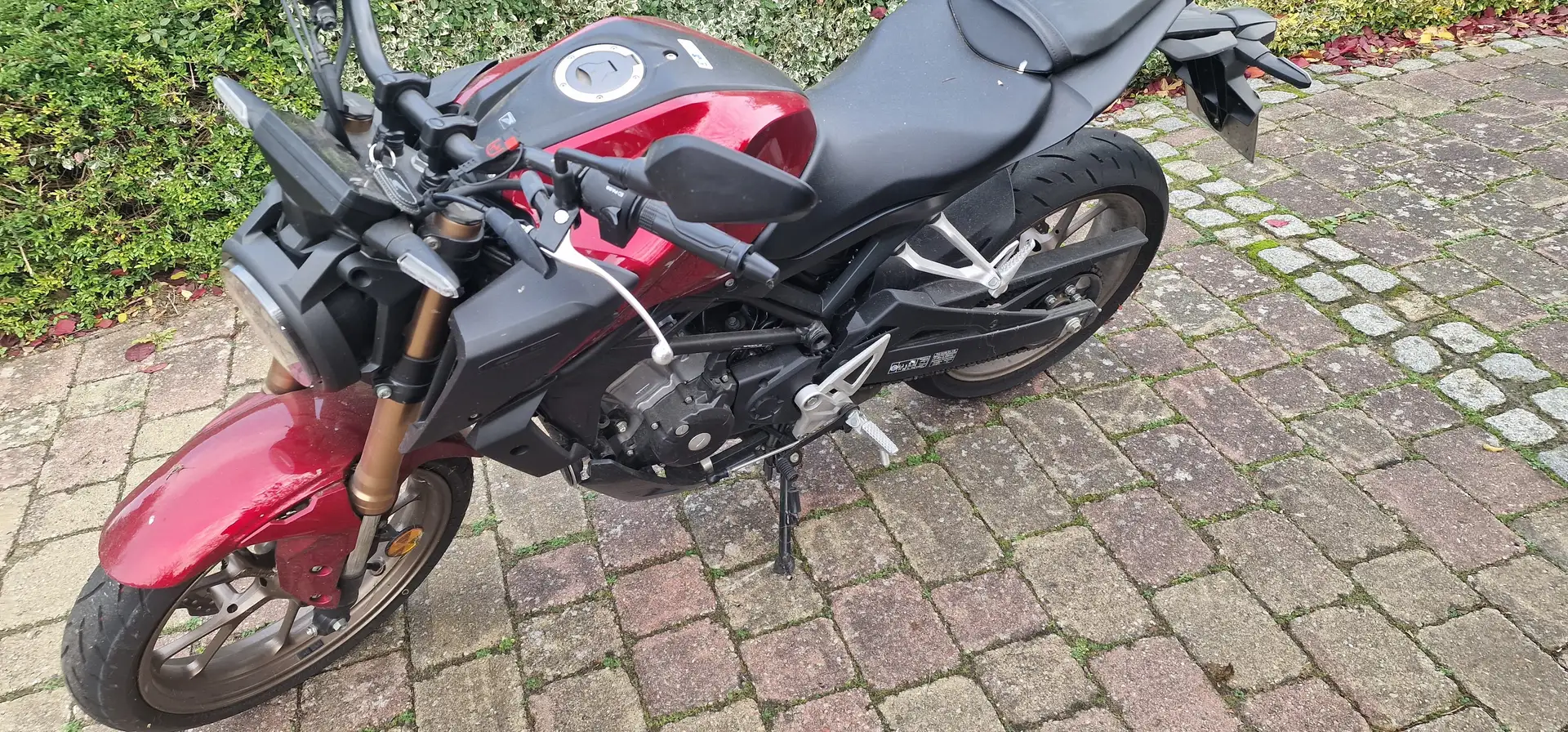 Honda CBR 125 Mauve - 2