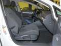 Volkswagen Golf VIII Variant 1.5 TSI OPF Life Navi DAB ACC Blanc - thumbnail 11