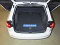 Volkswagen Golf VIII Variant 1.5 TSI OPF Life Navi DAB ACC Blanc - thumbnail 7