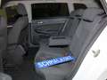 Volkswagen Golf VIII Variant 1.5 TSI OPF Life Navi DAB ACC Blanc - thumbnail 5