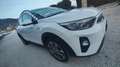 Kia Stonic Stonic 1.4 mpi eco Style Gpl 97cv Weiß - thumbnail 4