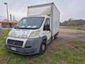 Fiat Ducato 2.3 Motore Bianco - thumbnail 2