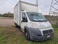 Fiat Ducato 2.3 Motore Bianco - thumbnail 3