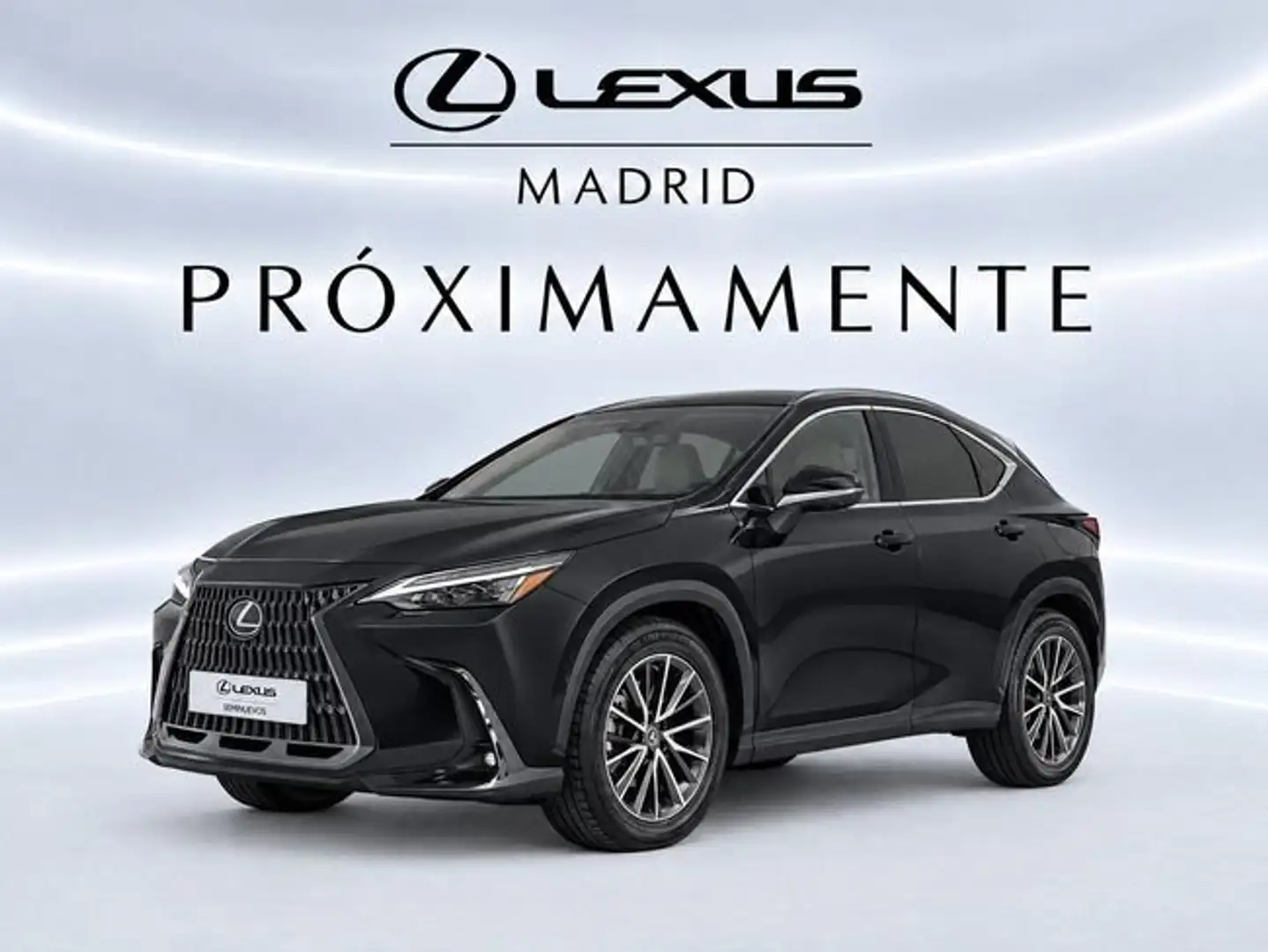 Lexus NX 350h Business 2WD Negro - 1
