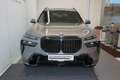 BMW X7 xDrive40d Gris - thumbnail 2