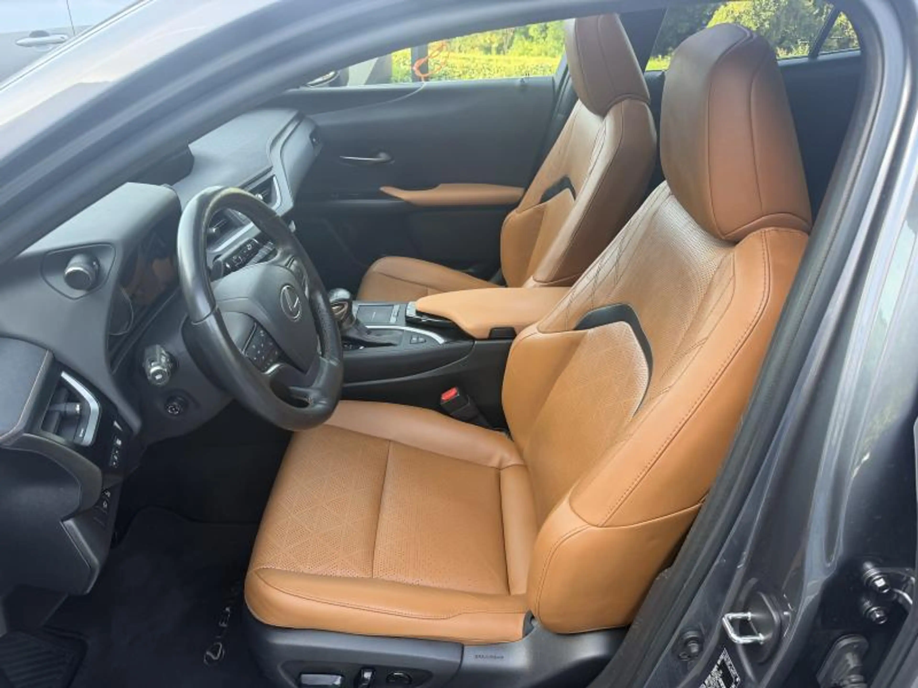 Lexus UX 250h Privilege Line — photo 11