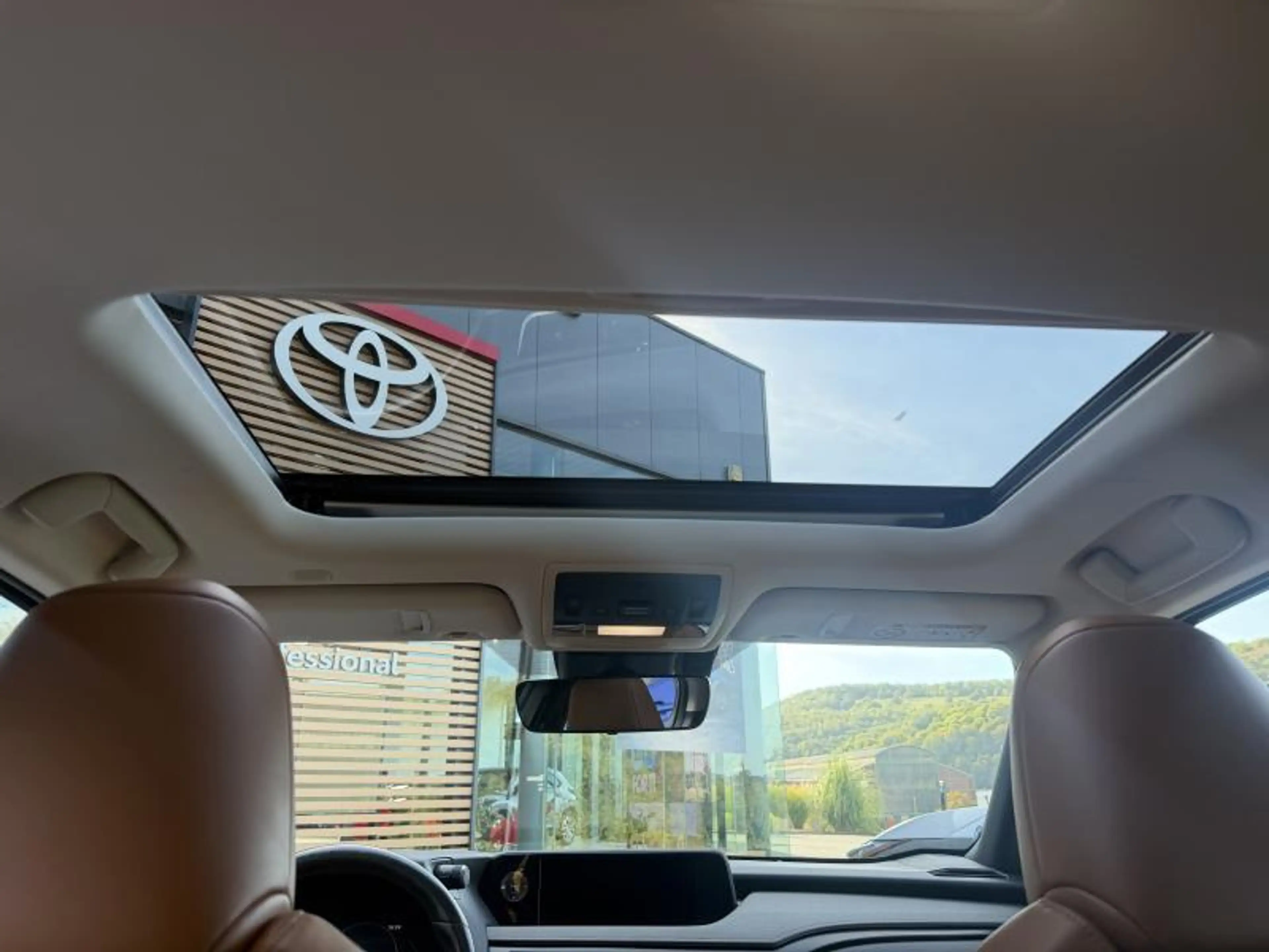 Lexus UX 250h Privilege Line — photo 15