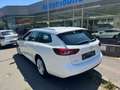 Opel Insignia Sports Tourer 1.5 Diesel Business Bianco - thumbnail 5