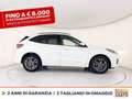 Ford Kuga 1.5 ecoblue st-line 2wd 120cv auto Bianco - thumbnail 5