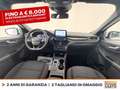 Ford Kuga 1.5 ecoblue st-line 2wd 120cv auto Bianco - thumbnail 11