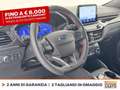 Ford Kuga 1.5 ecoblue st-line 2wd 120cv auto Bianco - thumbnail 19