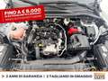 Ford Kuga 1.5 ecoblue st-line 2wd 120cv auto Bianco - thumbnail 13