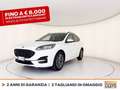 Ford Kuga 1.5 ecoblue st-line 2wd 120cv auto Bianco - thumbnail 1