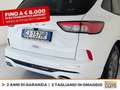 Ford Kuga 1.5 ecoblue st-line 2wd 120cv auto Bianco - thumbnail 18