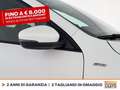 Ford Kuga 1.5 ecoblue st-line 2wd 120cv auto Bianco - thumbnail 16