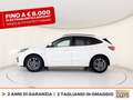 Ford Kuga 1.5 ecoblue st-line 2wd 120cv auto Bianco - thumbnail 3