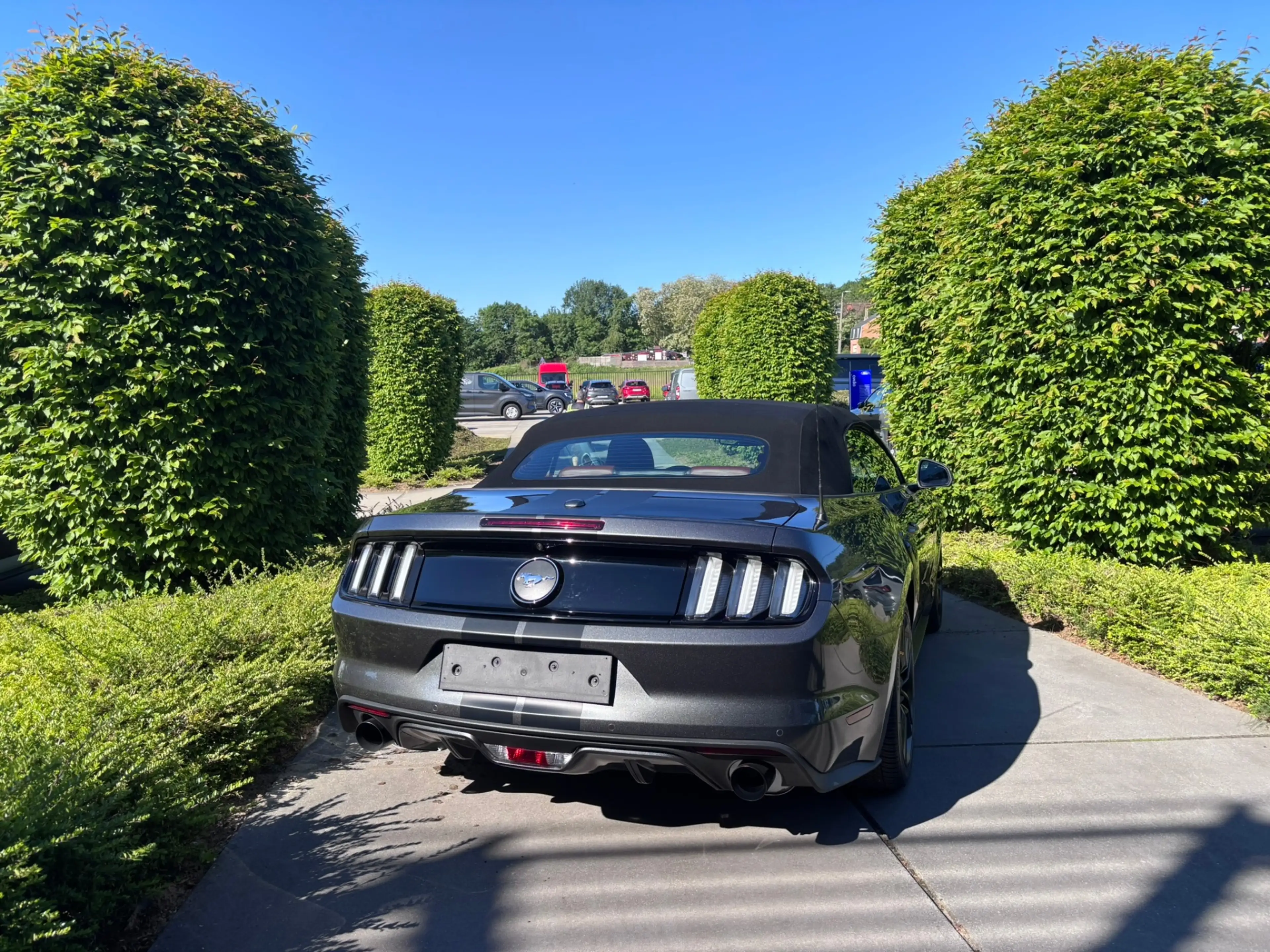 Ford Mustang Cabrio 2.3 EcoBoost Automaat | Shaker | 47.985 km — photo 8