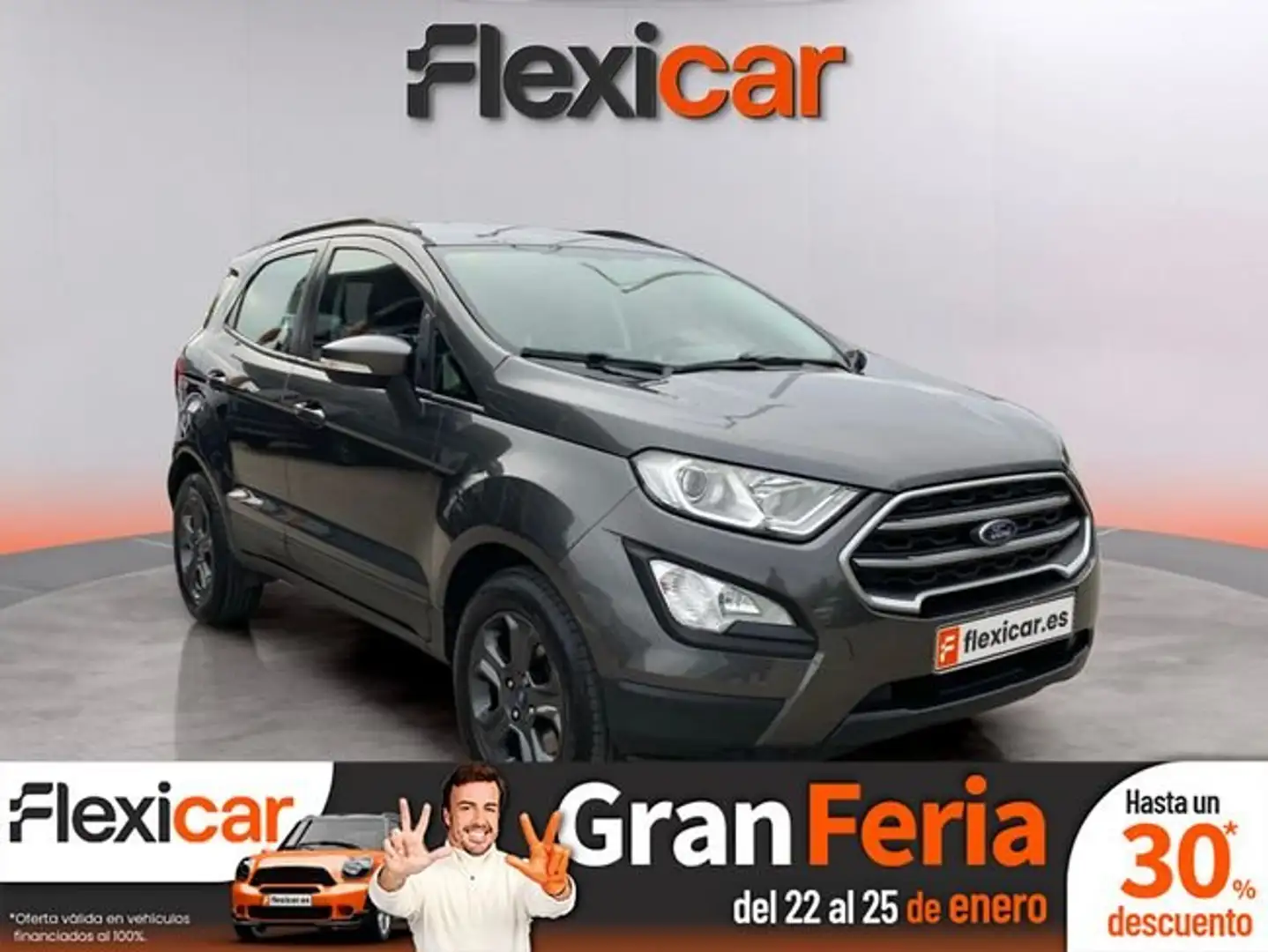 Ford EcoSport 1.5TDCi Titanium 100 Gris - 1