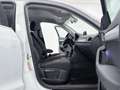Audi Q3 Q3 2.0 tdi Business 150cv Bianco - thumbnail 10