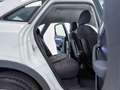 Audi Q3 Q3 2.0 tdi Business 150cv Bianco - thumbnail 12