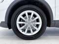Audi Q3 Q3 2.0 tdi Business 150cv Bianco - thumbnail 36