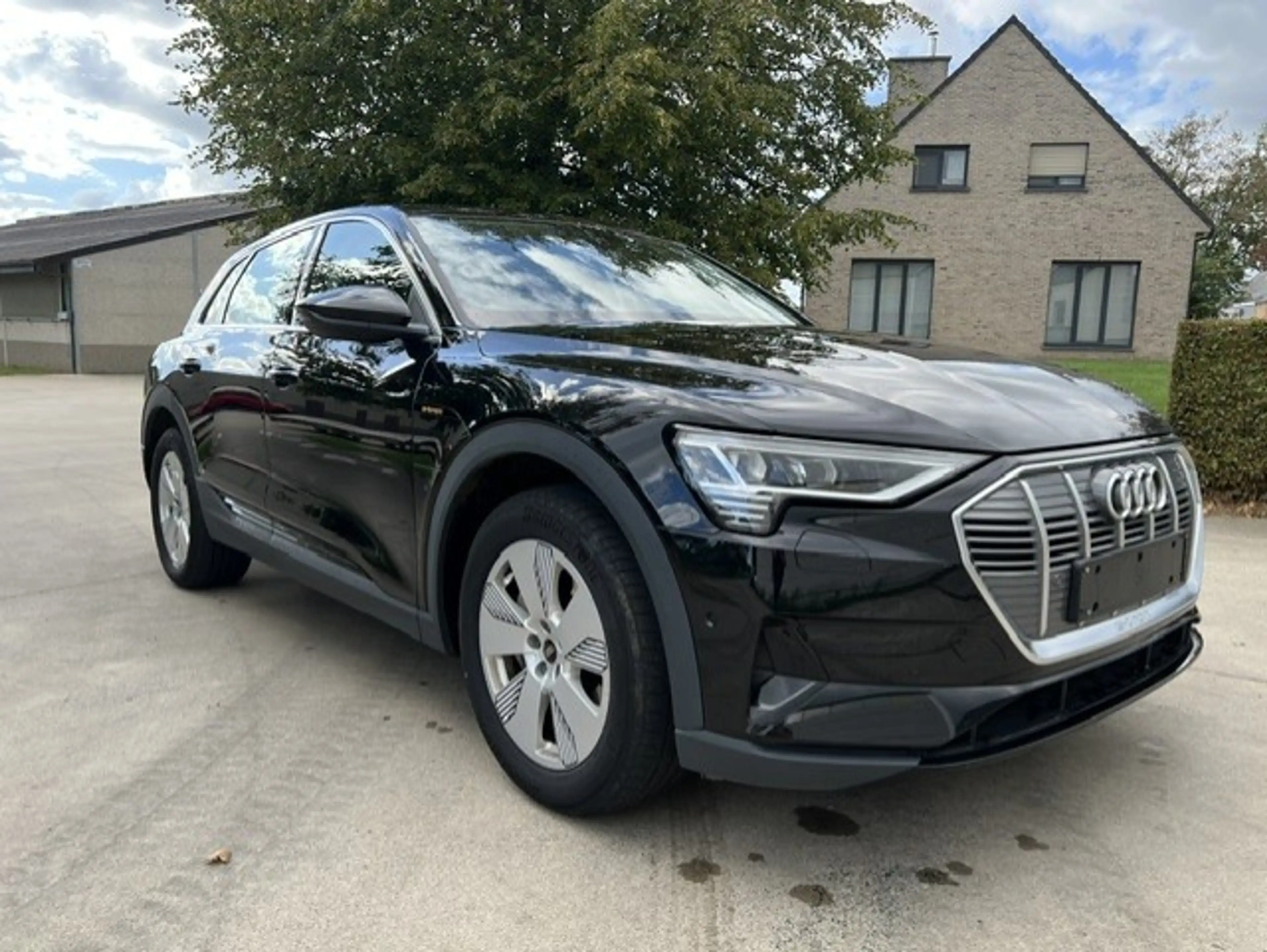 Audi Q8 e-tron E-Tron 95 kWh 55 Quattro Advanced *Navi*Cam*Leder*Lane*Keyless* BTW incl