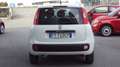 Fiat Panda 1.2 Easy 69 CV  EU 6 d- Temp  43780 KM. CERT. Weiß - thumbnail 5