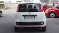 Fiat Panda 1.2 Easy 69 CV  EU 6 d- Temp  43780 KM. CERT. Bianco - thumbnail 5