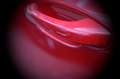 Porsche Cayenne GTS 18Wege ACC Pano 360° BOSE AHK 21" Rot - thumbnail 27