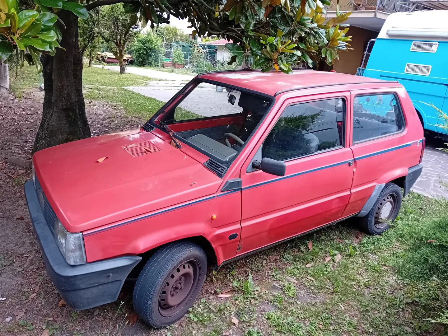 Fiat Panda 769 Young 2 - 2