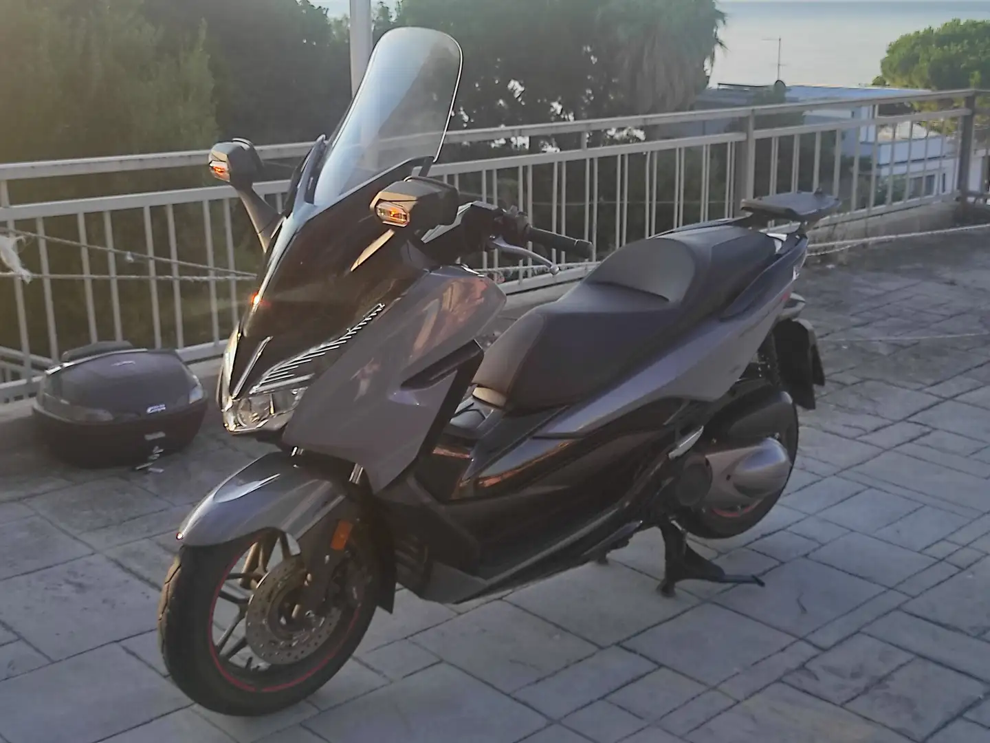 Honda Forza 300 Limited Edition Grigio - 2