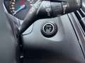 Ford Focus Wagon 1.0 St-Line 140pk Camera / Cruise Control / Zwart - thumbnail 19