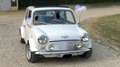 Rover MINI british open Blanc - thumbnail 5