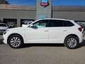 Skoda Kamiq 1.0 TSI 81kW (110CV) Ambition Blanc - thumbnail 4