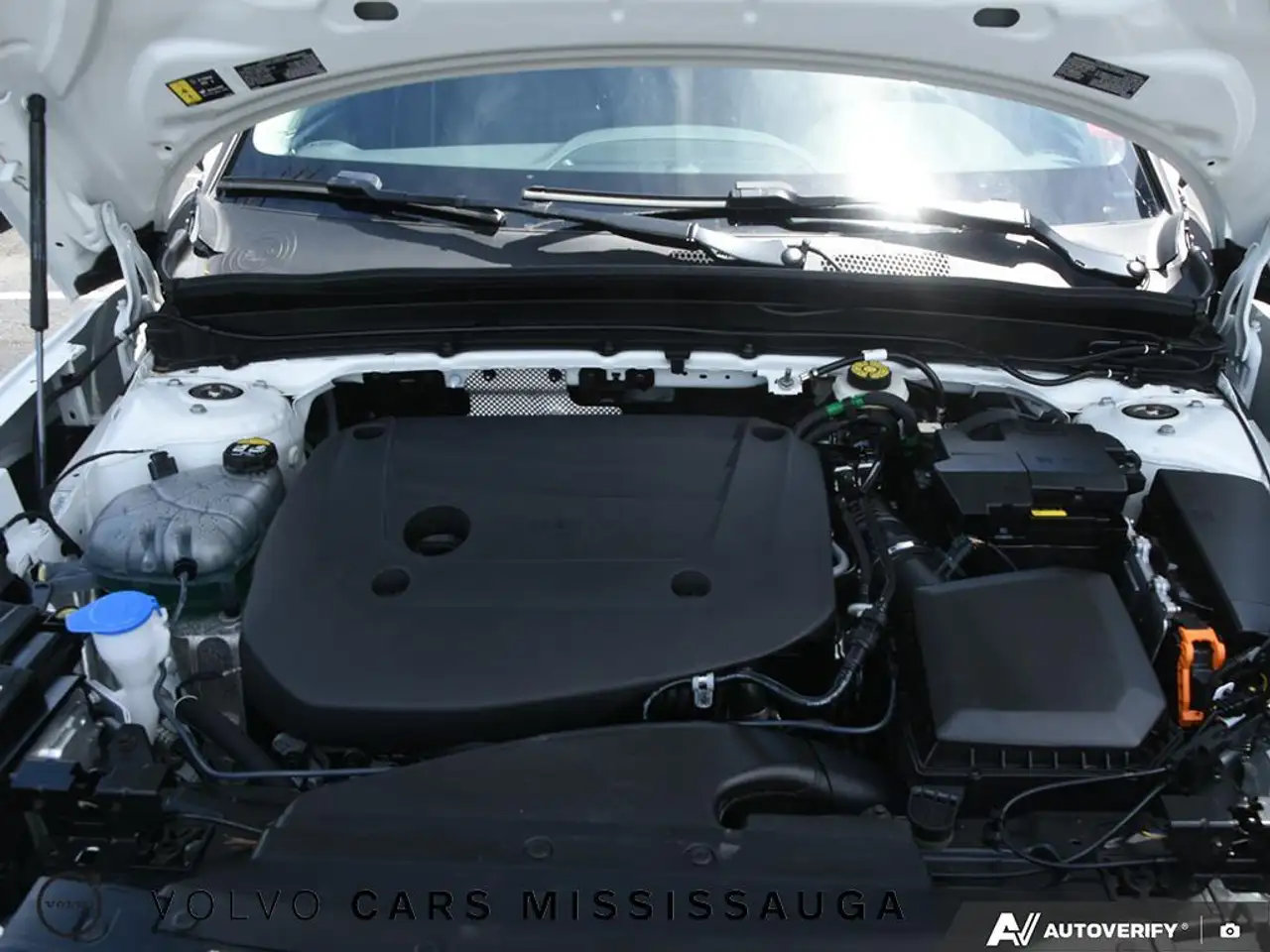 Volvo XC40 снимка Volvo XC40