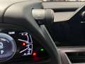 Lexus UX 250h 2.0 Premium Blanco - thumbnail 20