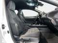 Lexus UX 250h 2.0 Premium Blanco - thumbnail 7