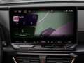 CUPRA Formentor 1.5 eTSI DSG Matrix-LED RFK ACC Grau - thumbnail 8