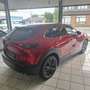 Mazda CX-30 2.5L e-SKYACTIV G 140ps Sondermodell Homura Rouge - thumbnail 6