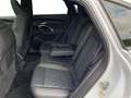 Audi Q5 TDI quattro 150 kW S tronic Pano Weiß - thumbnail 11